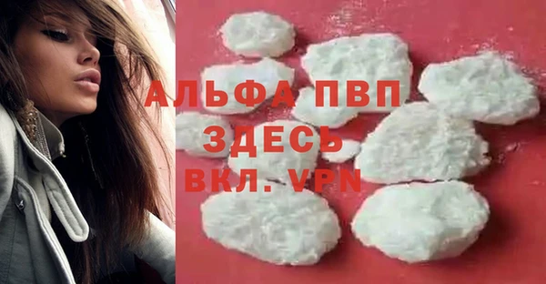 ПСИЛОЦИБИНОВЫЕ ГРИБЫ Липки