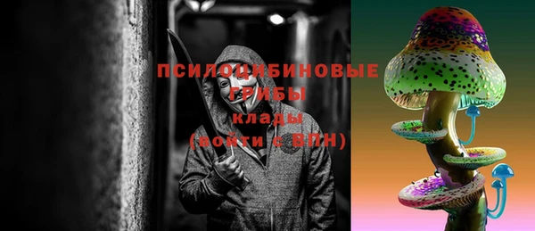 ПСИЛОЦИБИНОВЫЕ ГРИБЫ Липки