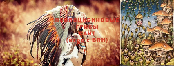 ПСИЛОЦИБИНОВЫЕ ГРИБЫ Липки