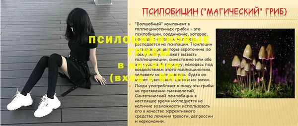 ПСИЛОЦИБИНОВЫЕ ГРИБЫ Липки