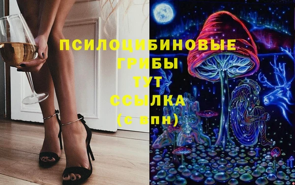 ПСИЛОЦИБИНОВЫЕ ГРИБЫ Липки
